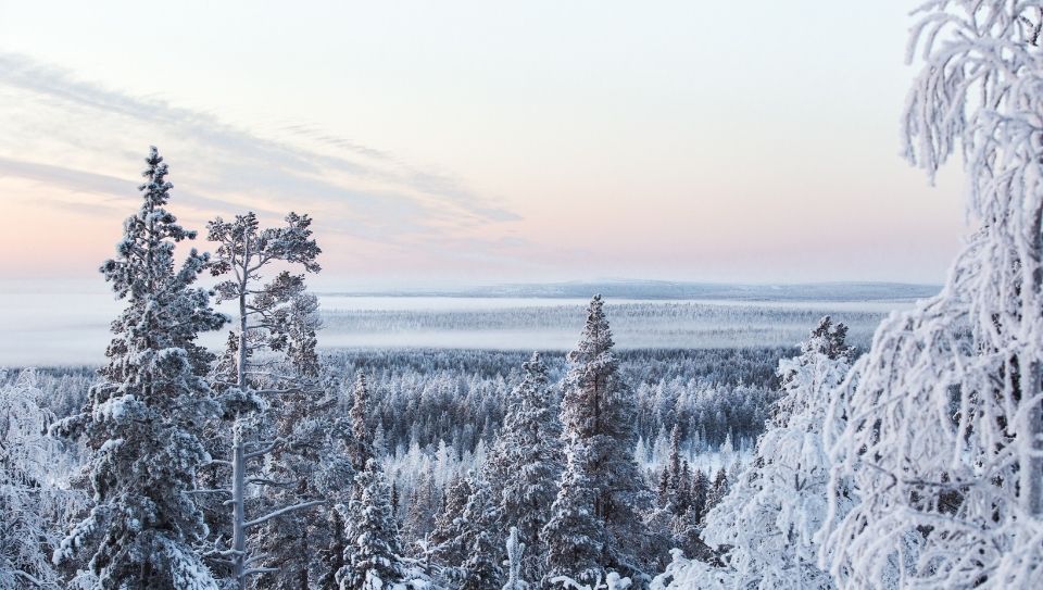 Lapland winter snow 