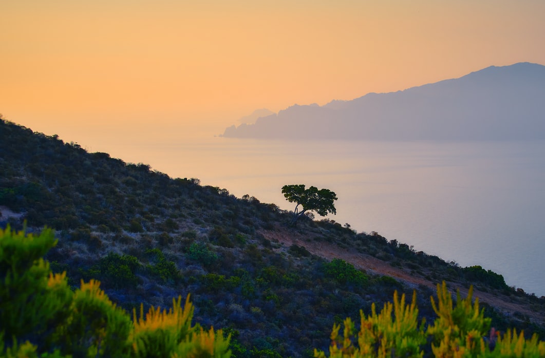 Corsica sea